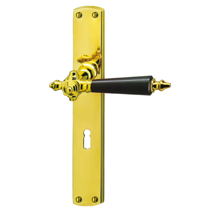 Drücker-Garnitur Langschild JUGENDSTIL Graz / Landhaus