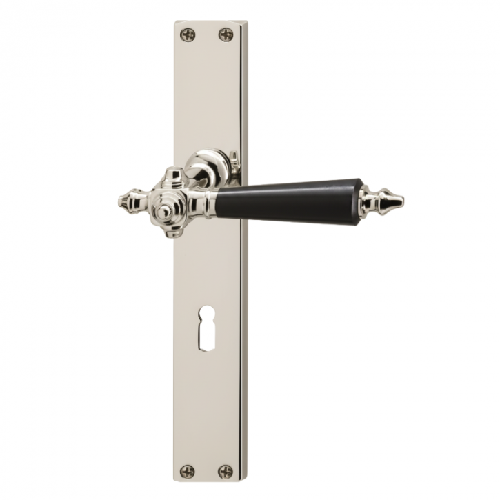 Drücker-Garnitur Langschild JUGENDSTIL Graz / Landhaus poliert vernickelt