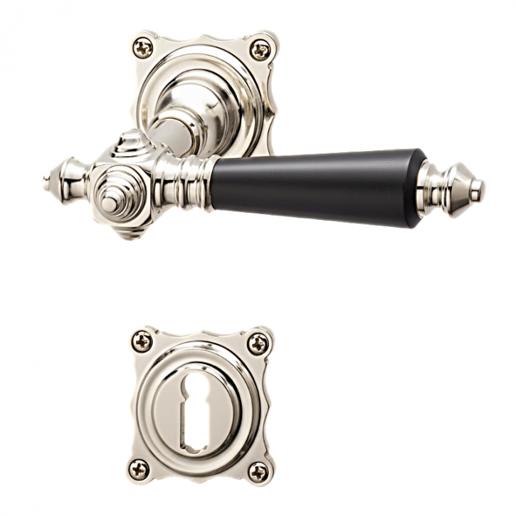 Drücker-Garnitur Rosetten JUGENDSTIL Graz / Landhaus poliert nickel