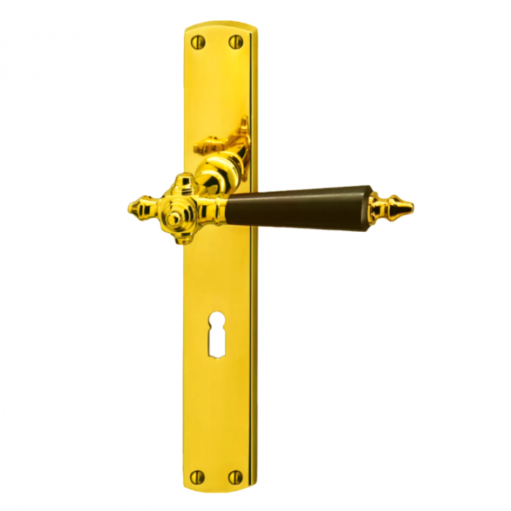 Drücker-Garnitur Langschild JUGENDSTIL Graz / Landhaus